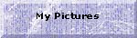 my pictures.JPG (5813 bytes)